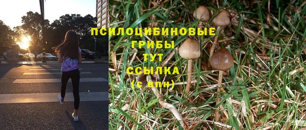 меф Инта